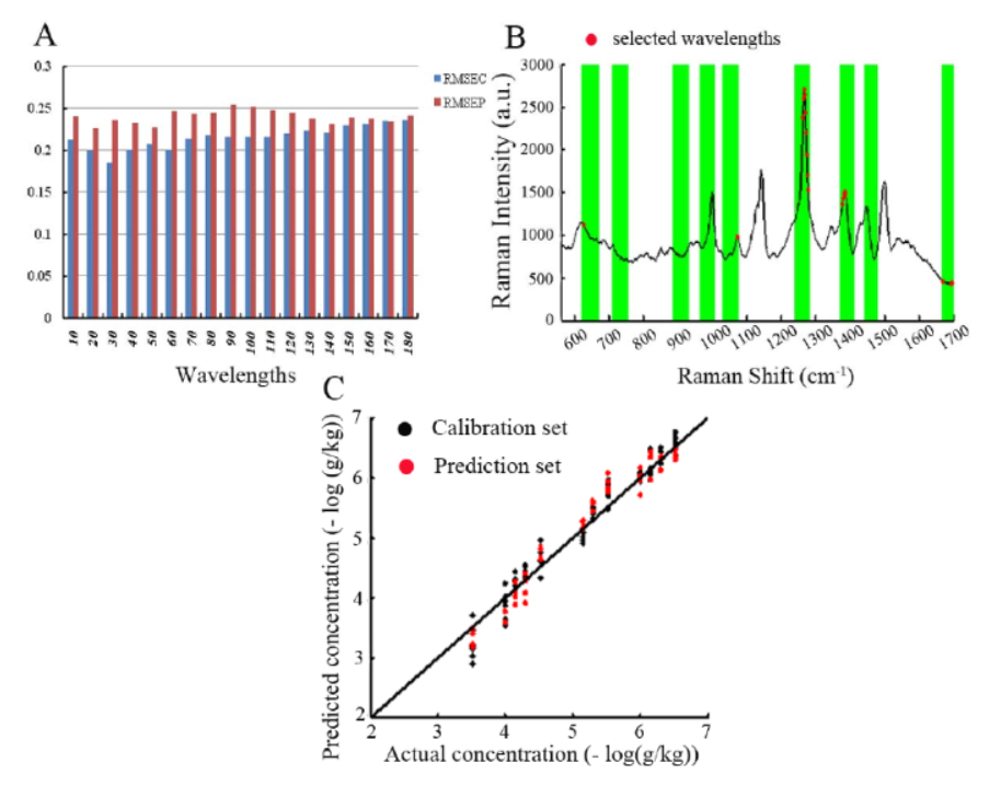 圖5（A）不同波長參與下校正模型的RMSEC和RMSE.png